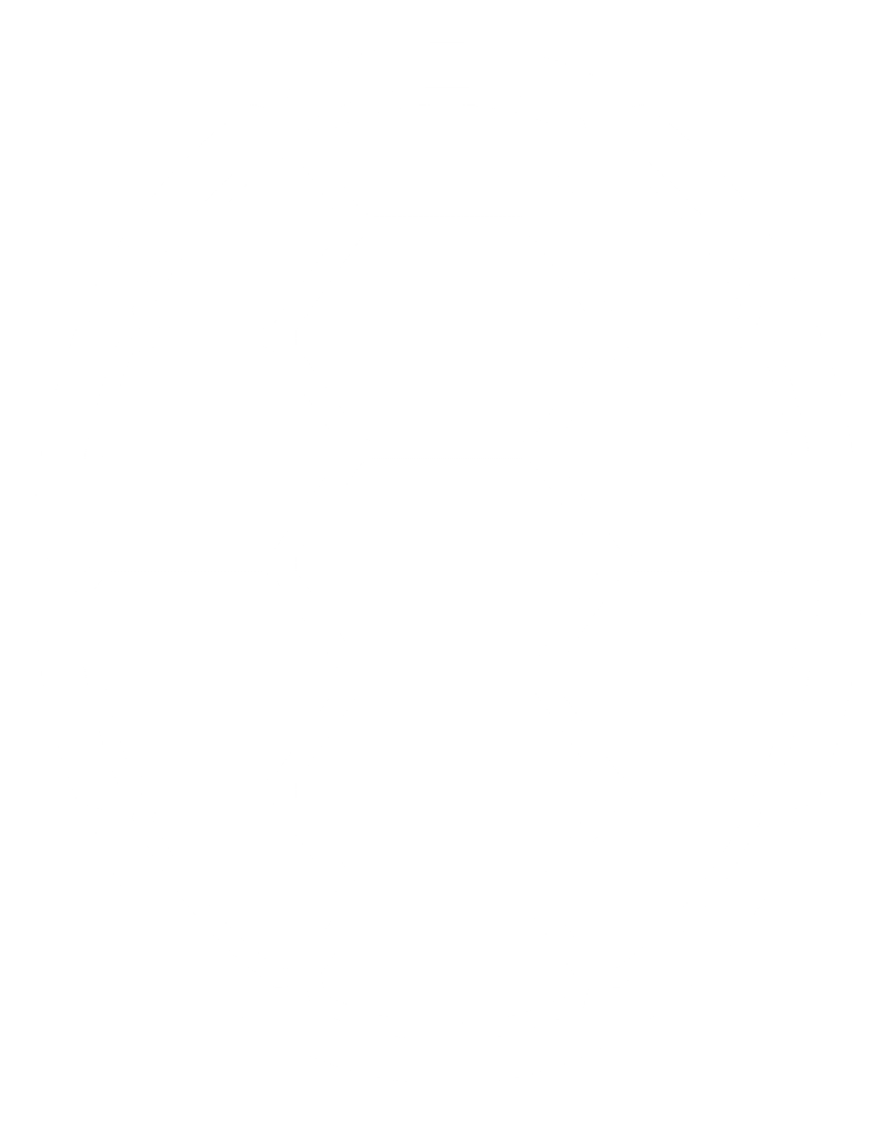 turtle (1)